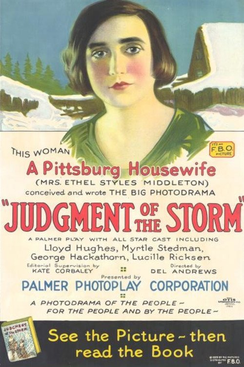 Poster de Judgment of the Storm