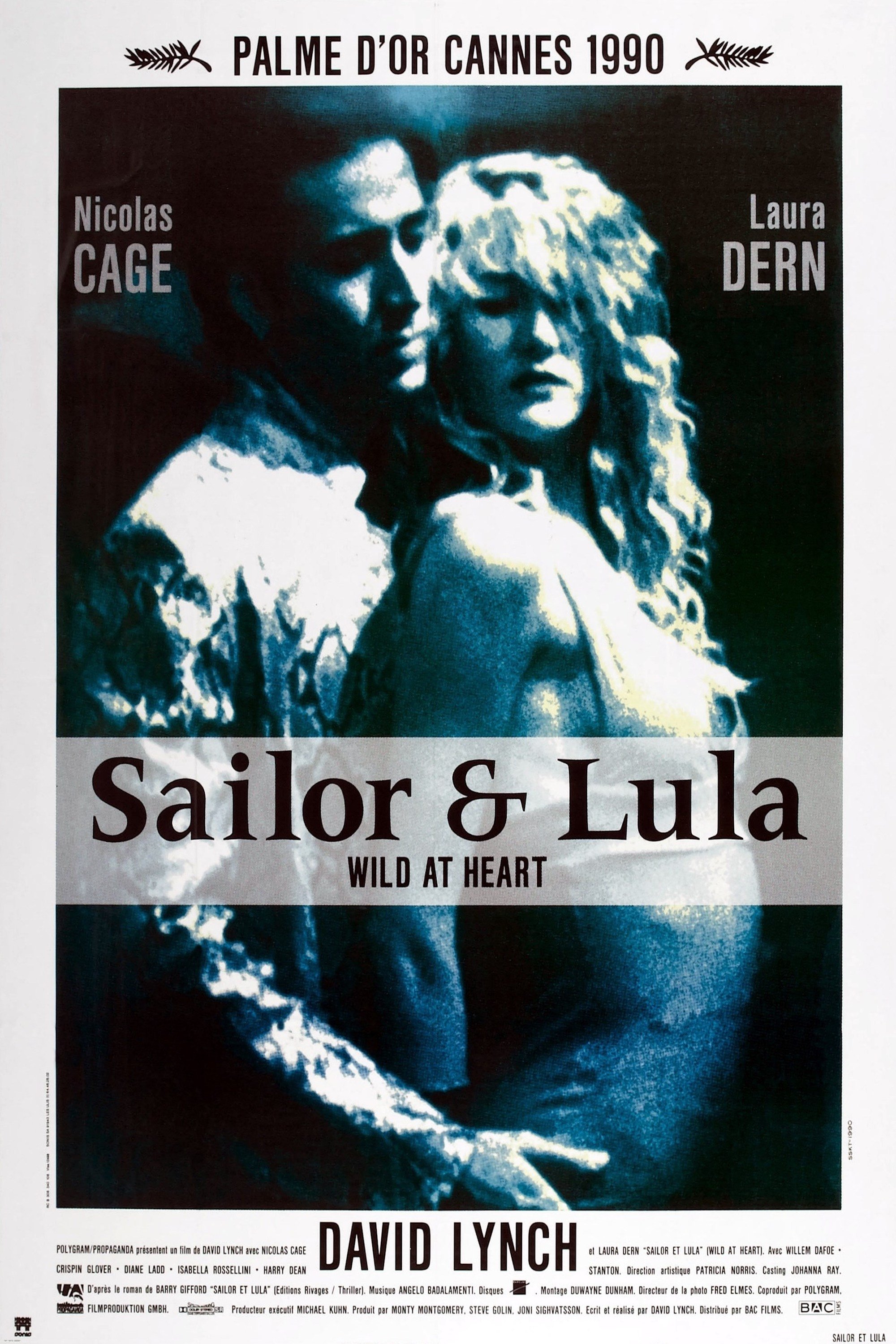 Affiche du film Wild at Heart