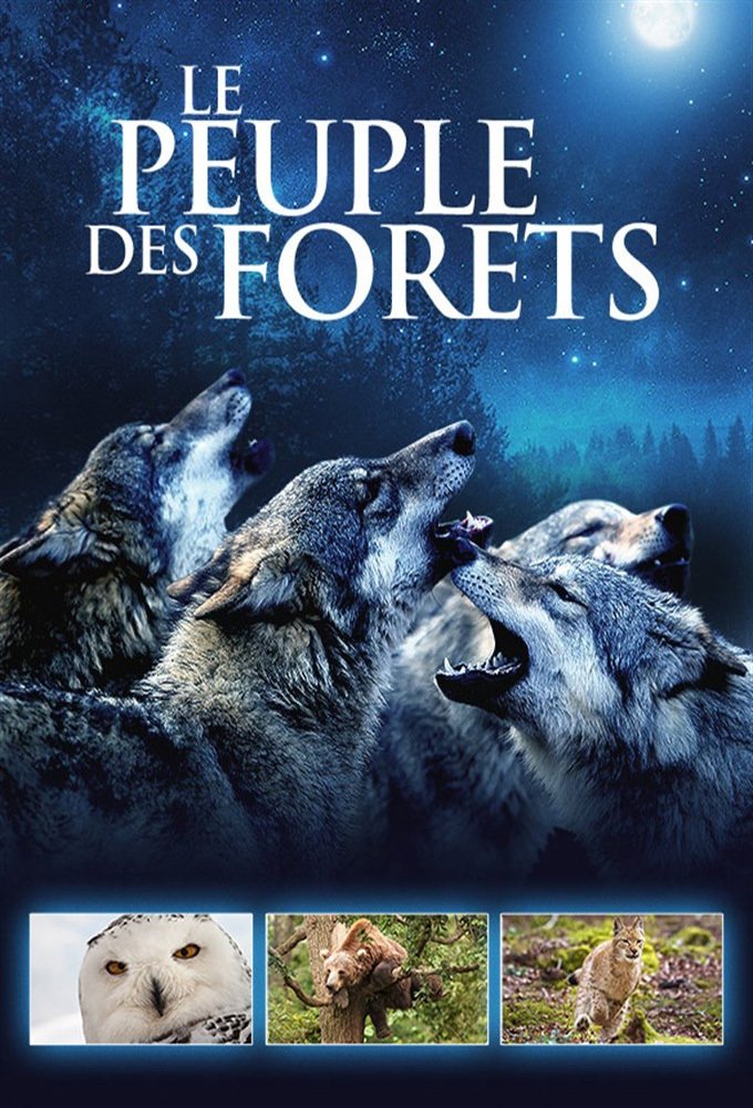 Poster de Temporada 1