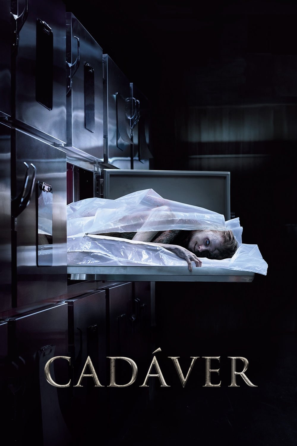 Poster de Cadáver