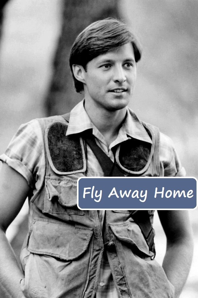 Affiche du film Fly Away Home
