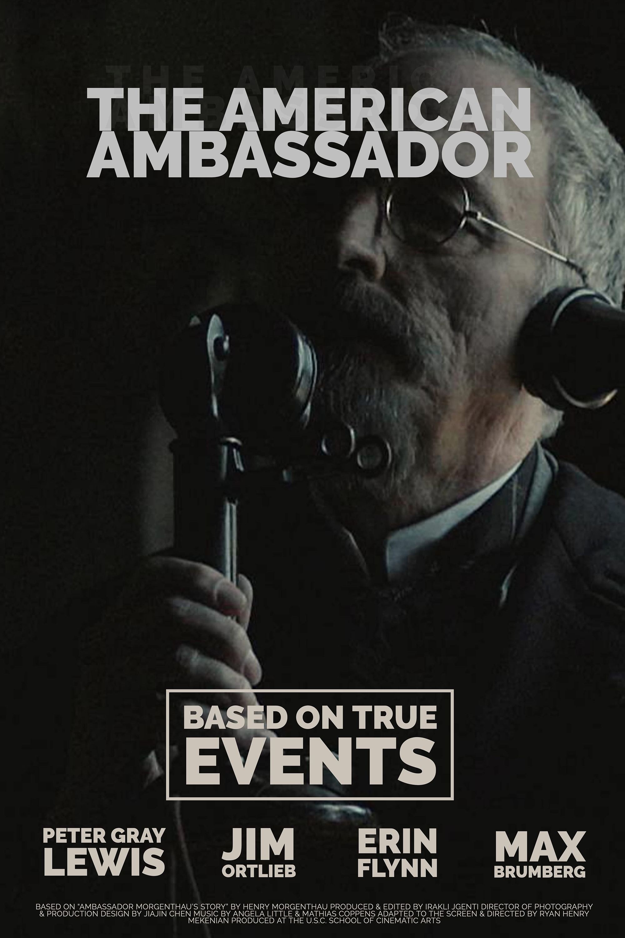 Poster de The American Ambassador