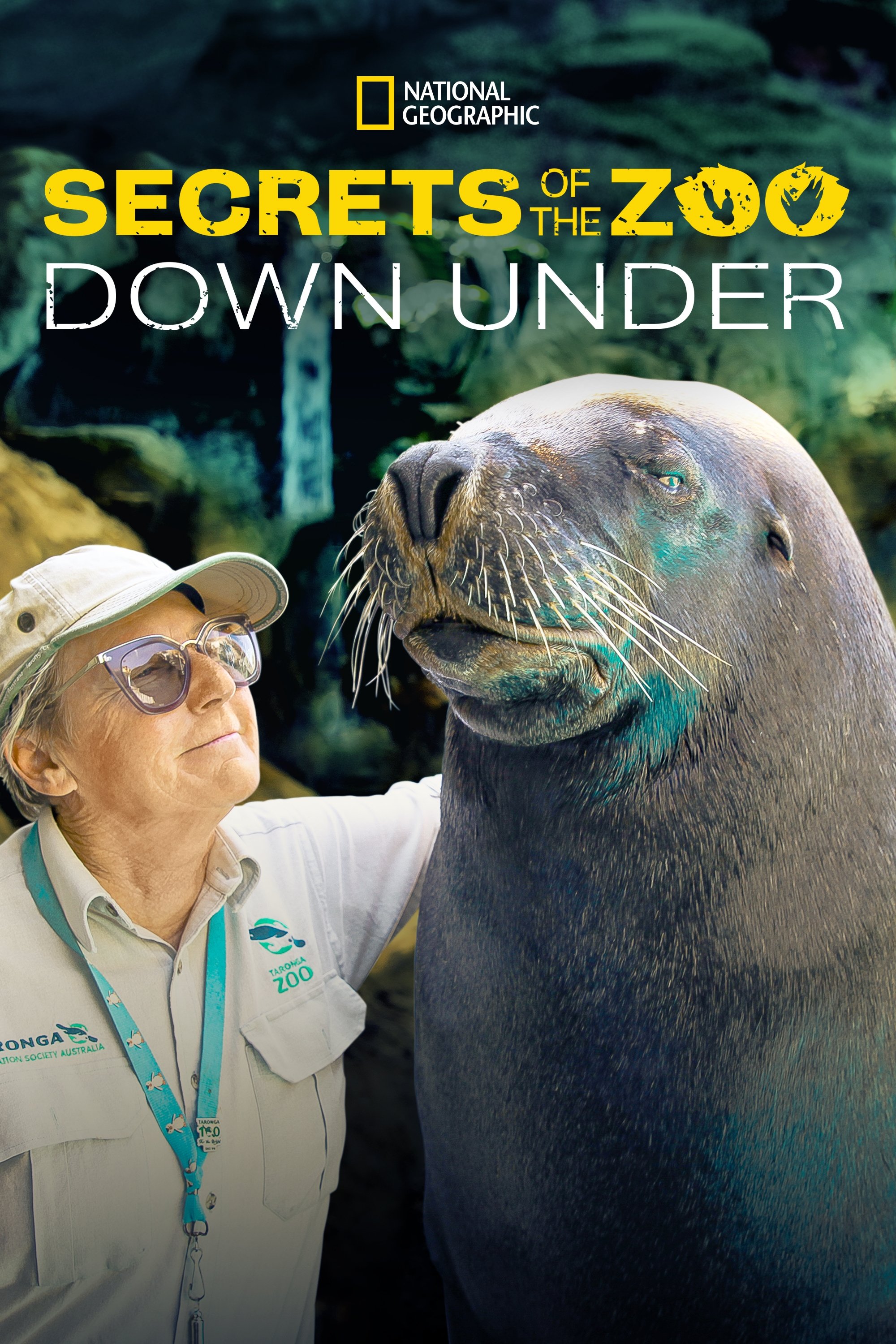 Poster de Secrets of the Zoo: Down Under