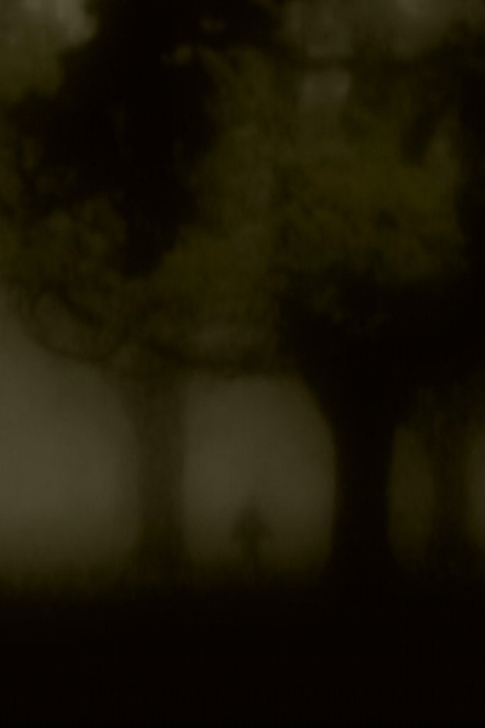 Poster de Man Alone