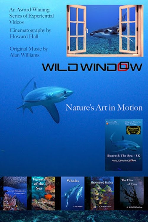Poster de Wild Window