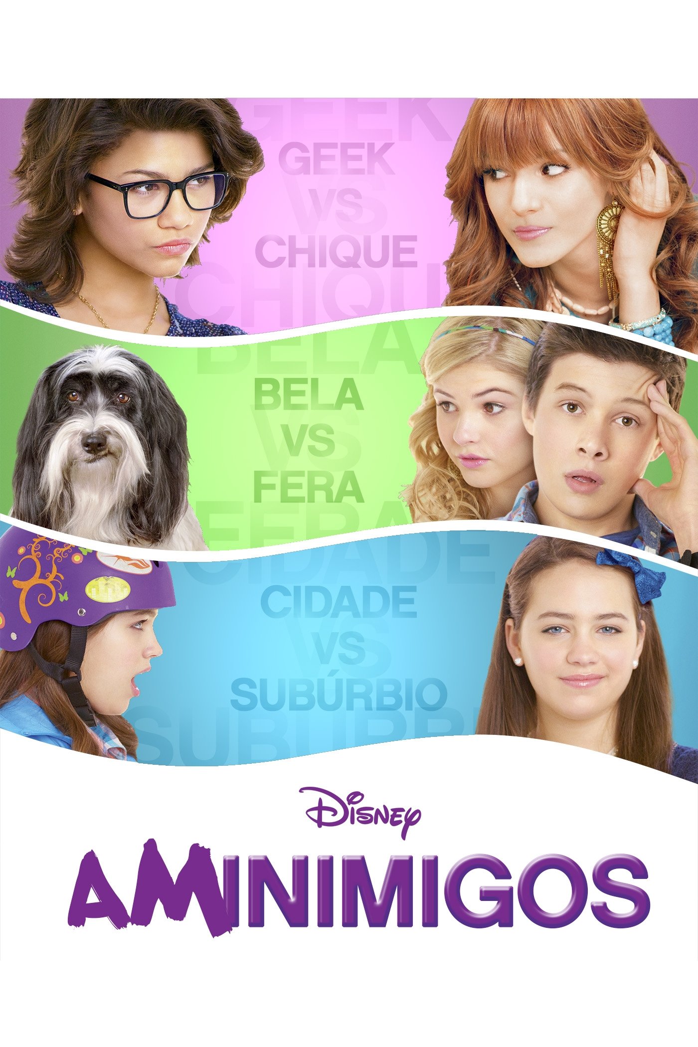 Poster de Aminimigos