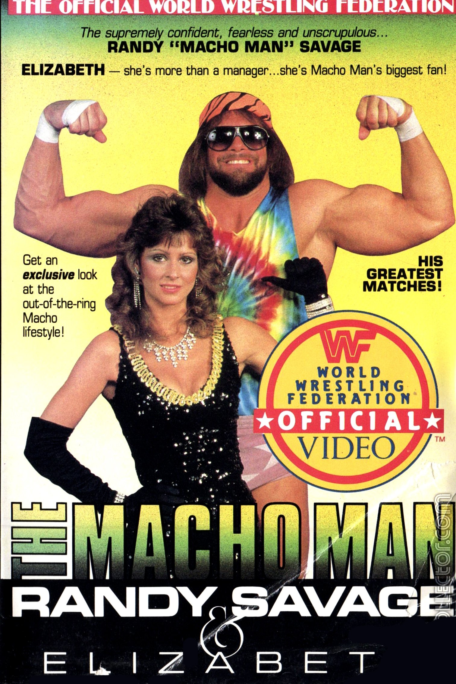 Affiche du film The Macho Man Randy Savage & Elizabeth