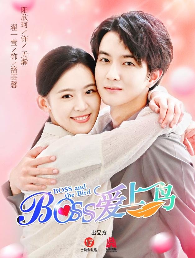 Poster de Boss爱上鸟