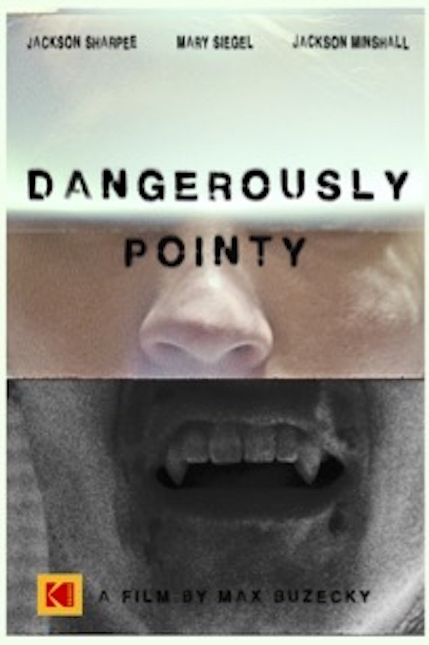Poster de Dangerously Pointy