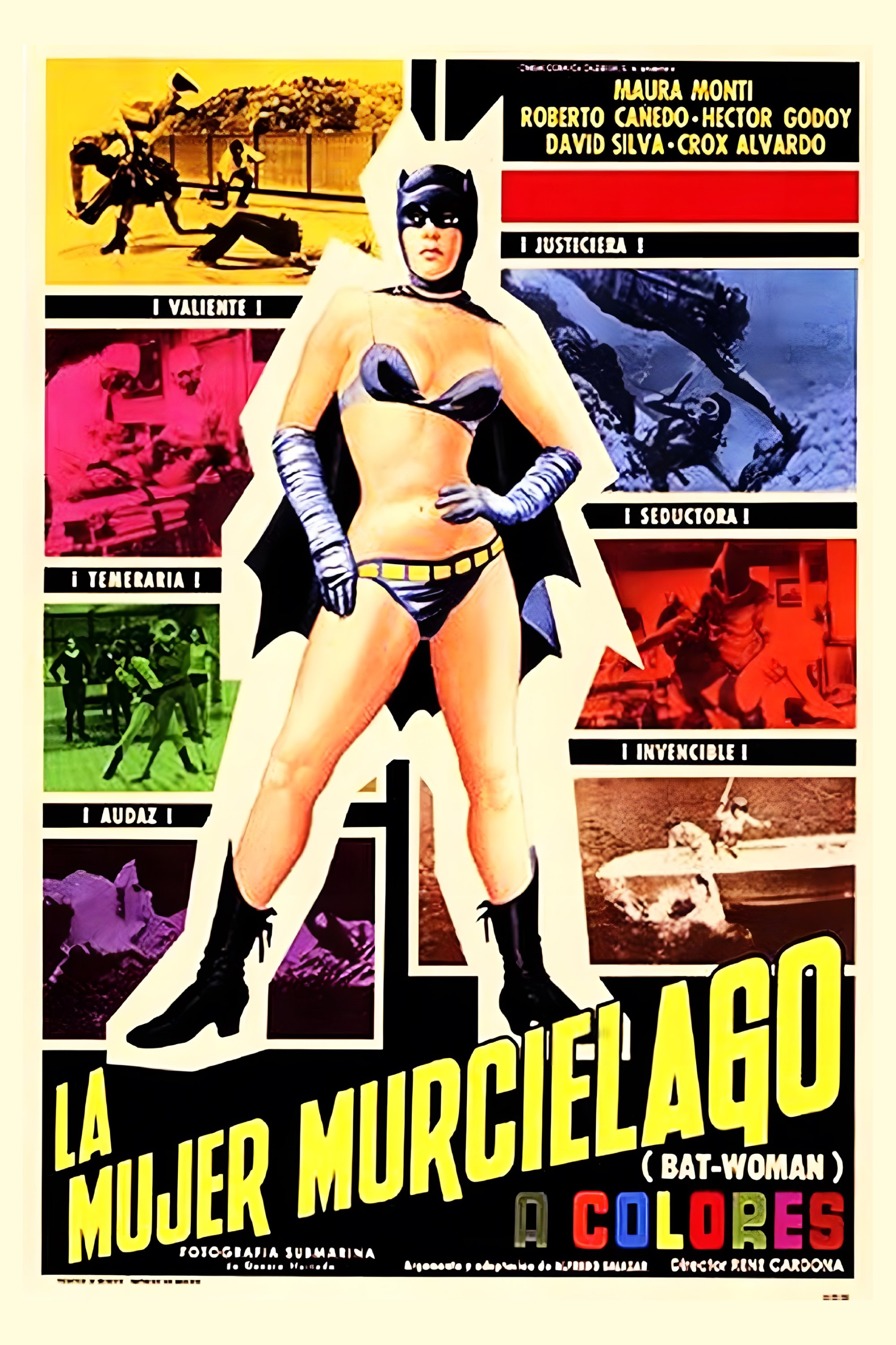 Poster de La mujer murciélago