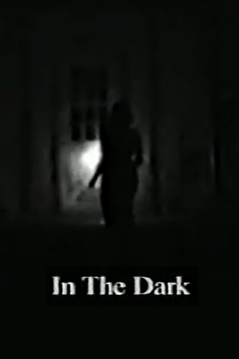 Poster de In the Dark