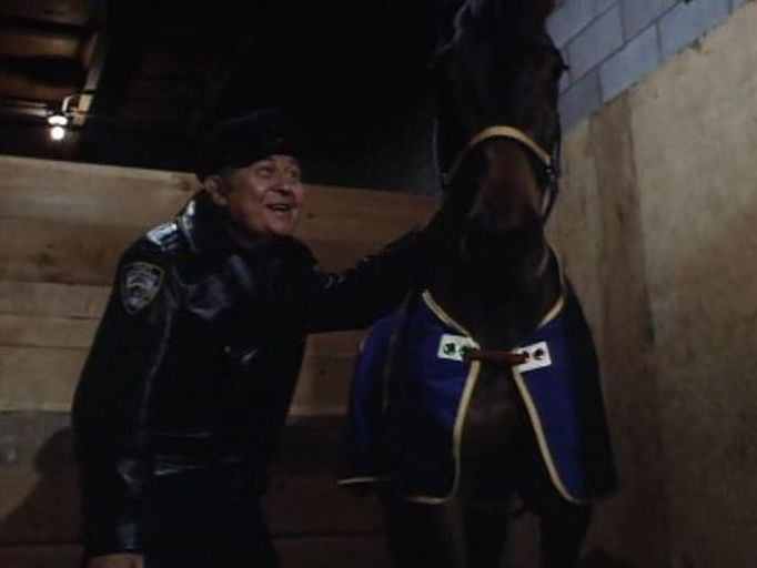 May the Horse Be with You