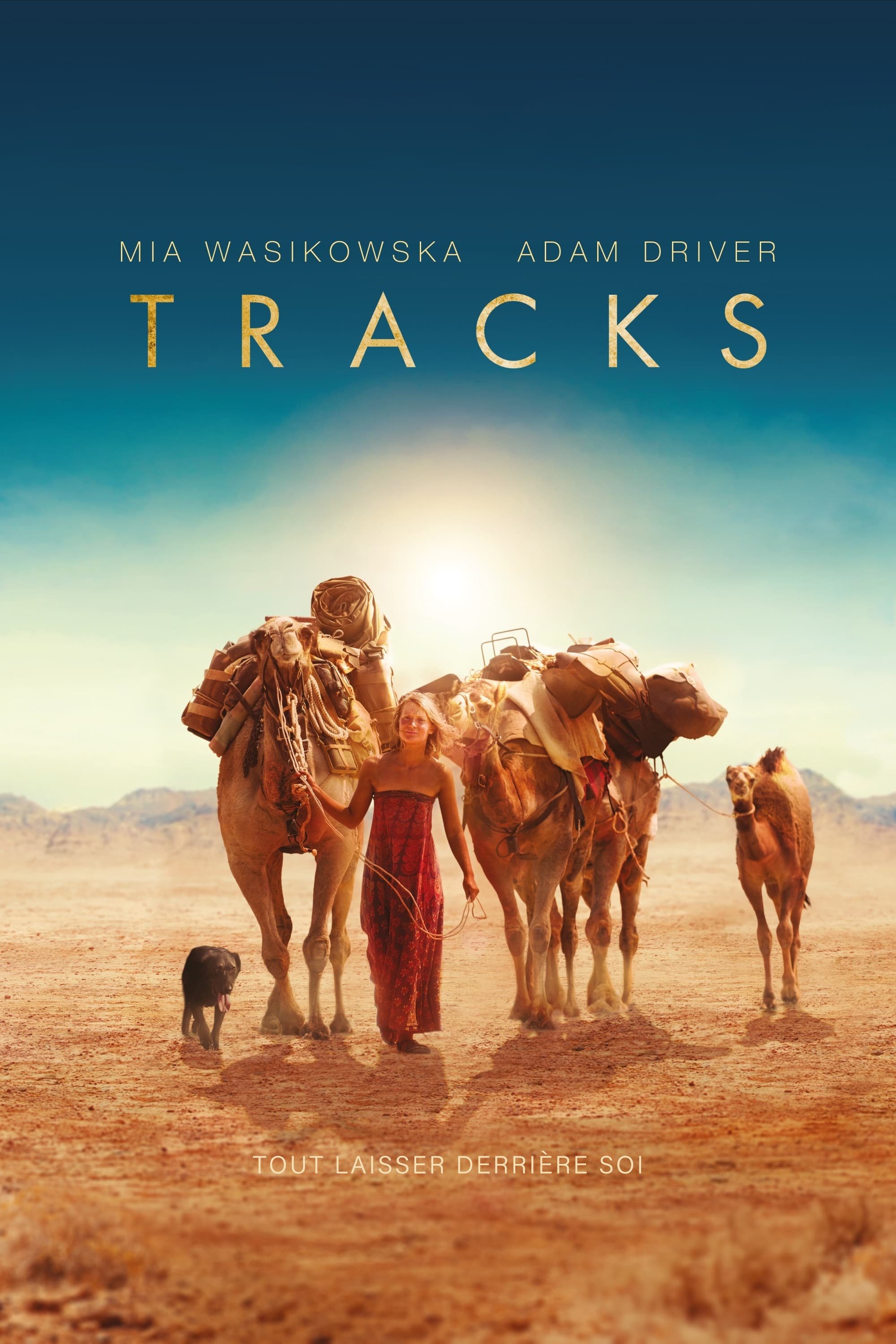 Affiche du film Tracks