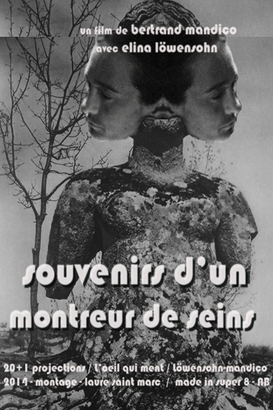 Poster de Souvenirs d'un montreur de seins