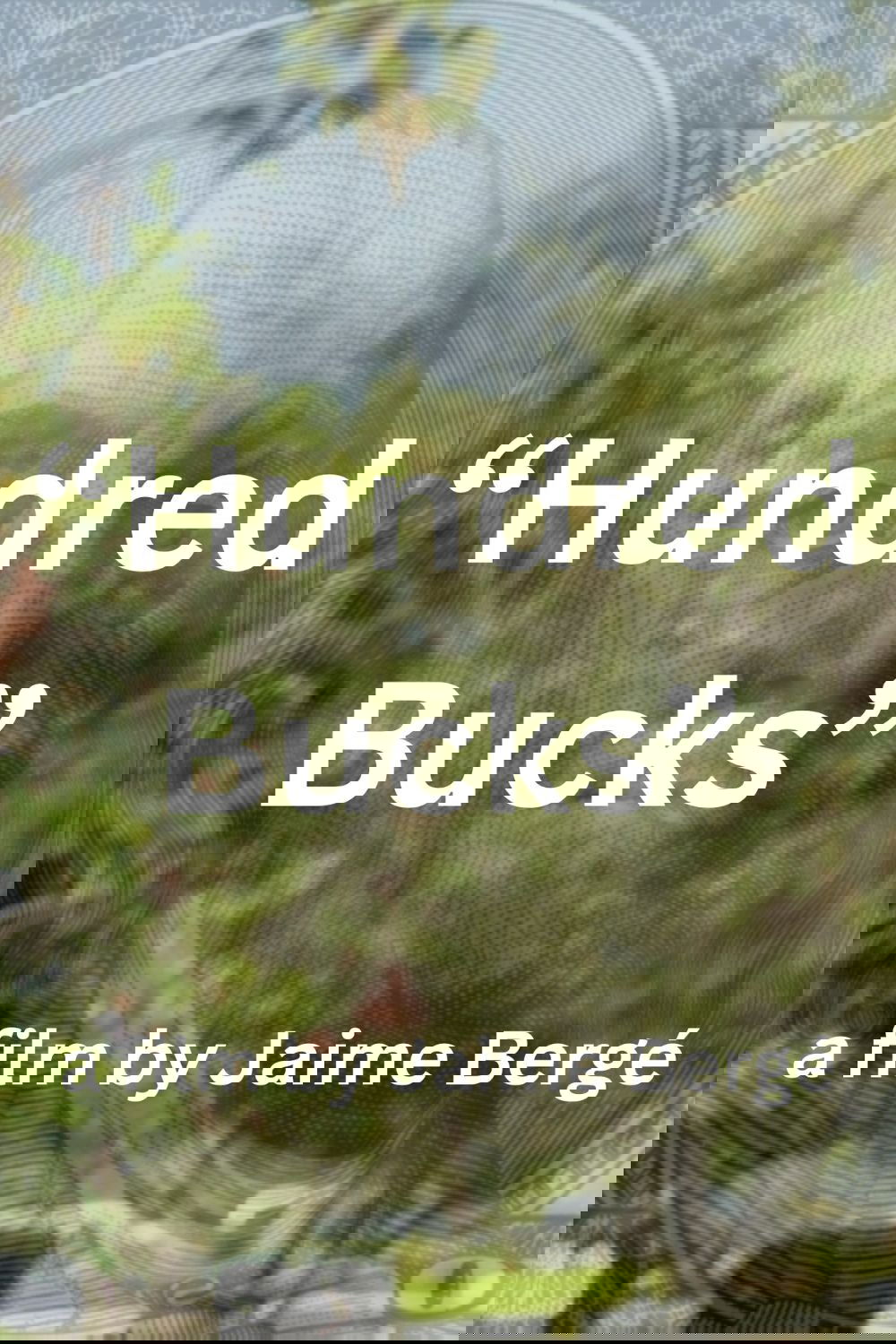 Poster de Hundred Bucks