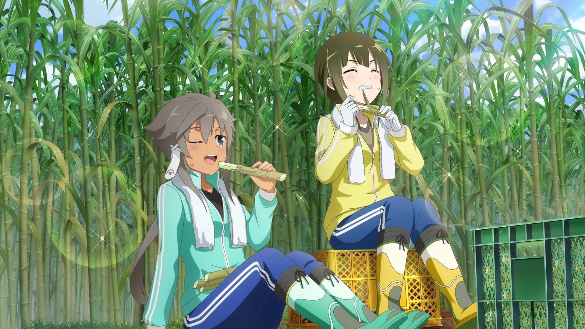 Backdrop image