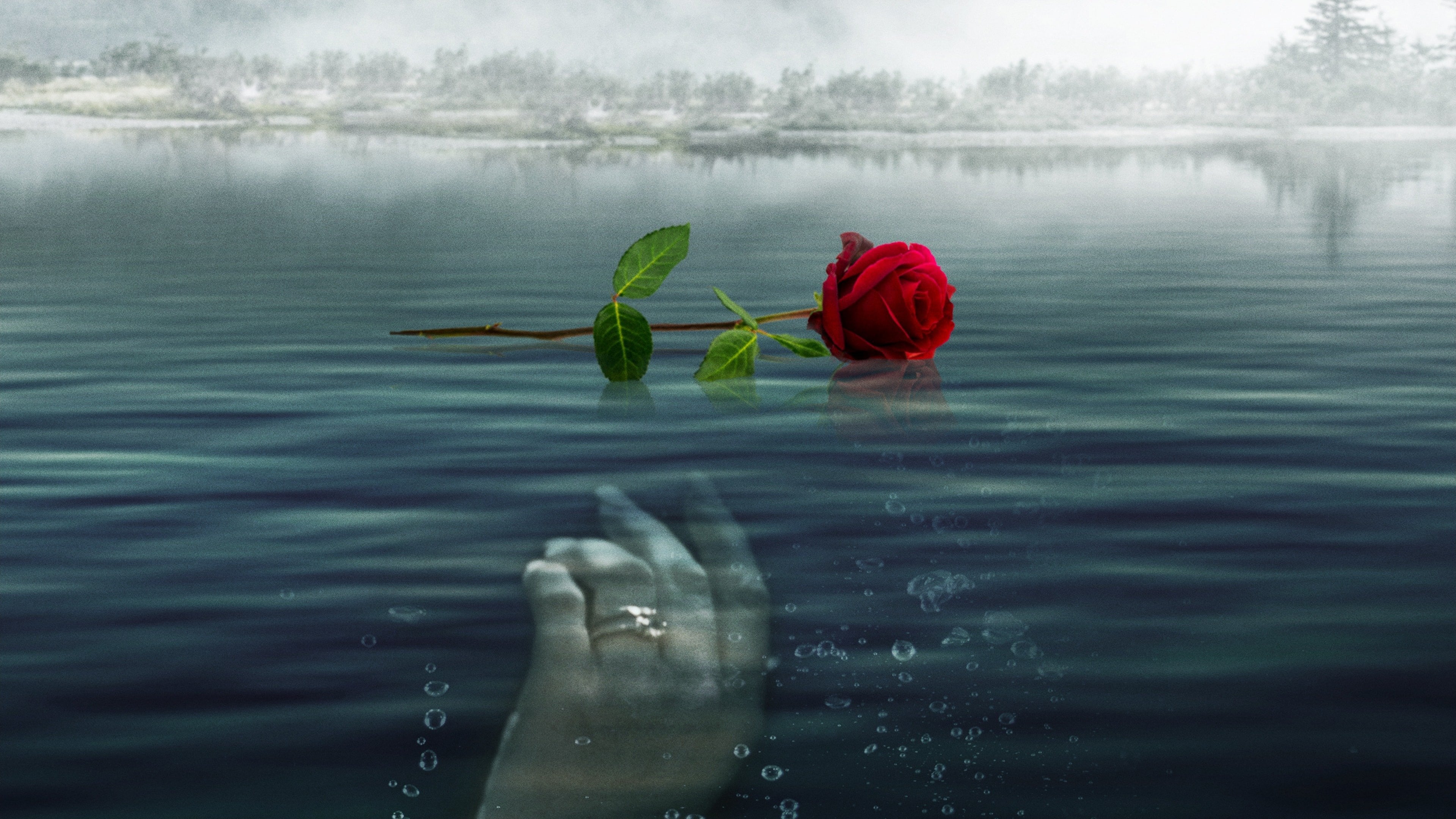 A Rose for Her Grave: The Randy Roth Story 2023 Soap2Day