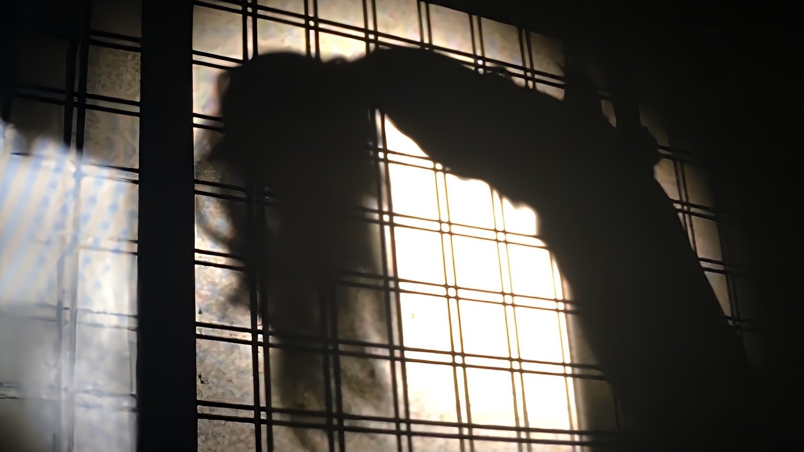 backdrops