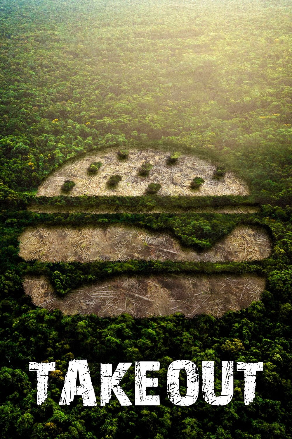 Poster de Amazônia Em Chamas