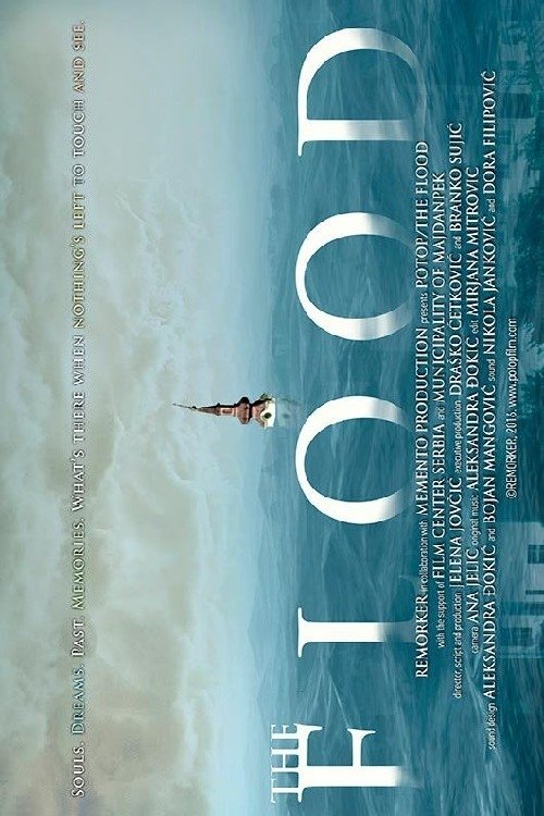 Poster de Potop