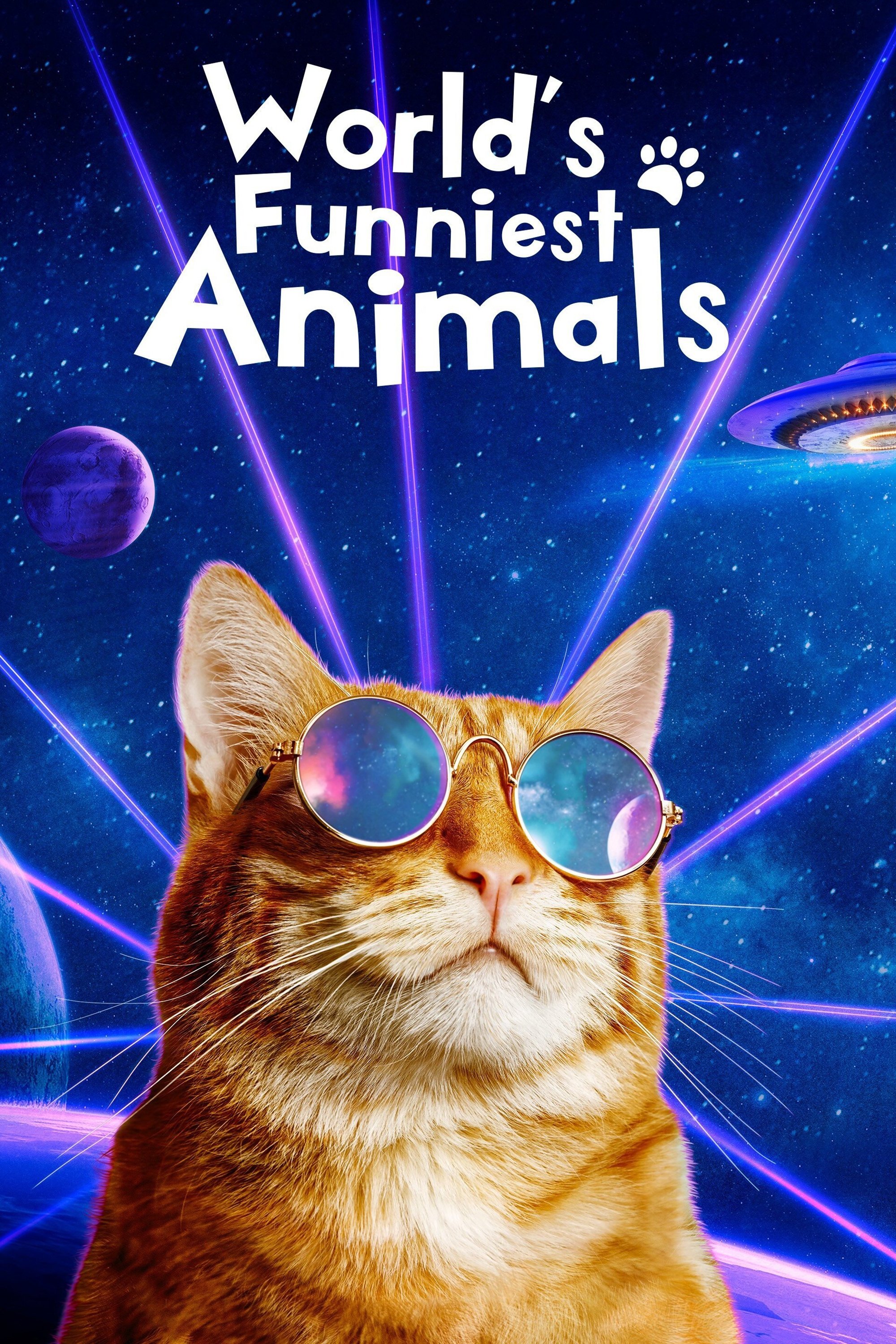 Poster de World's Funniest Animals