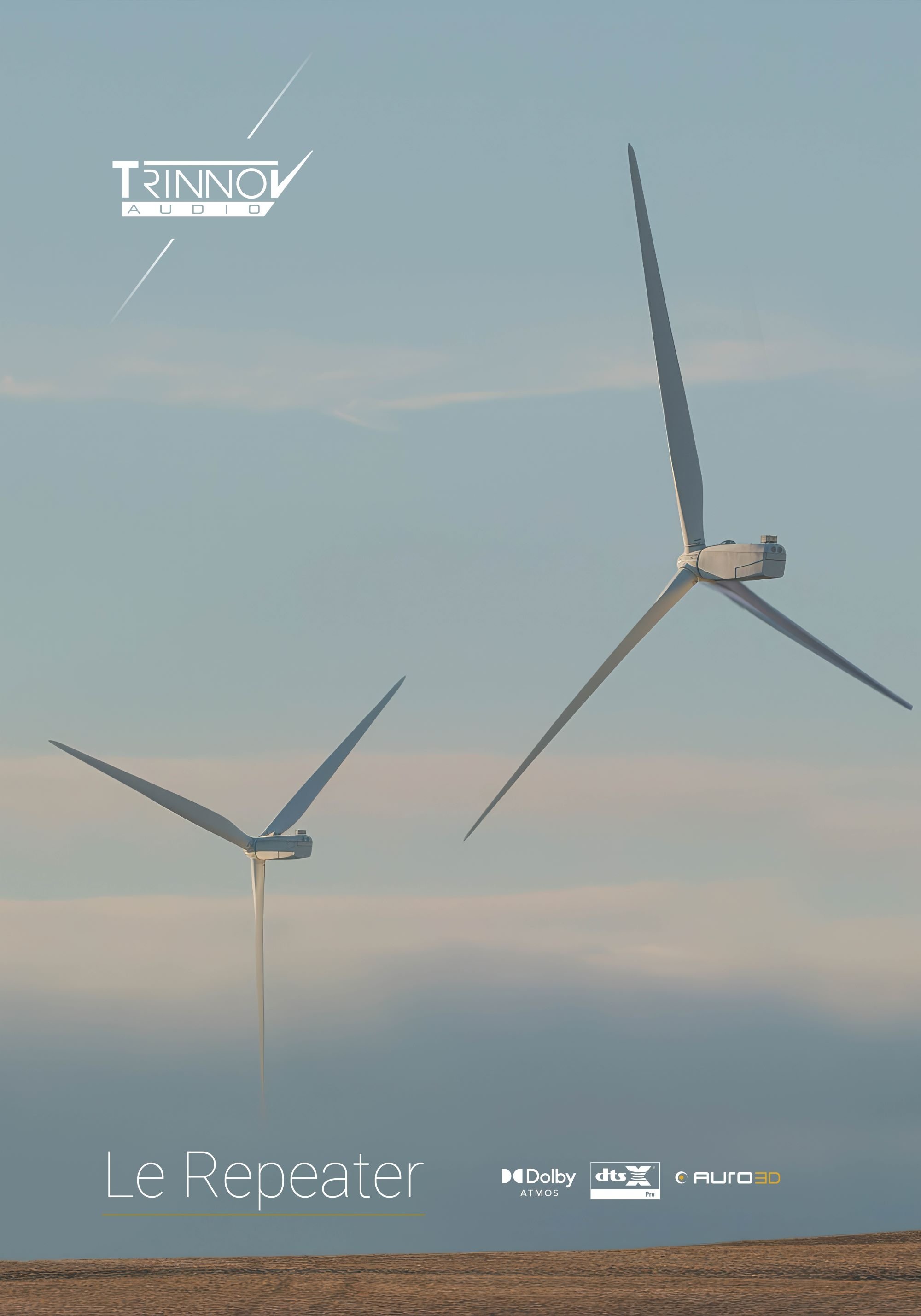 Poster de Le Repeater