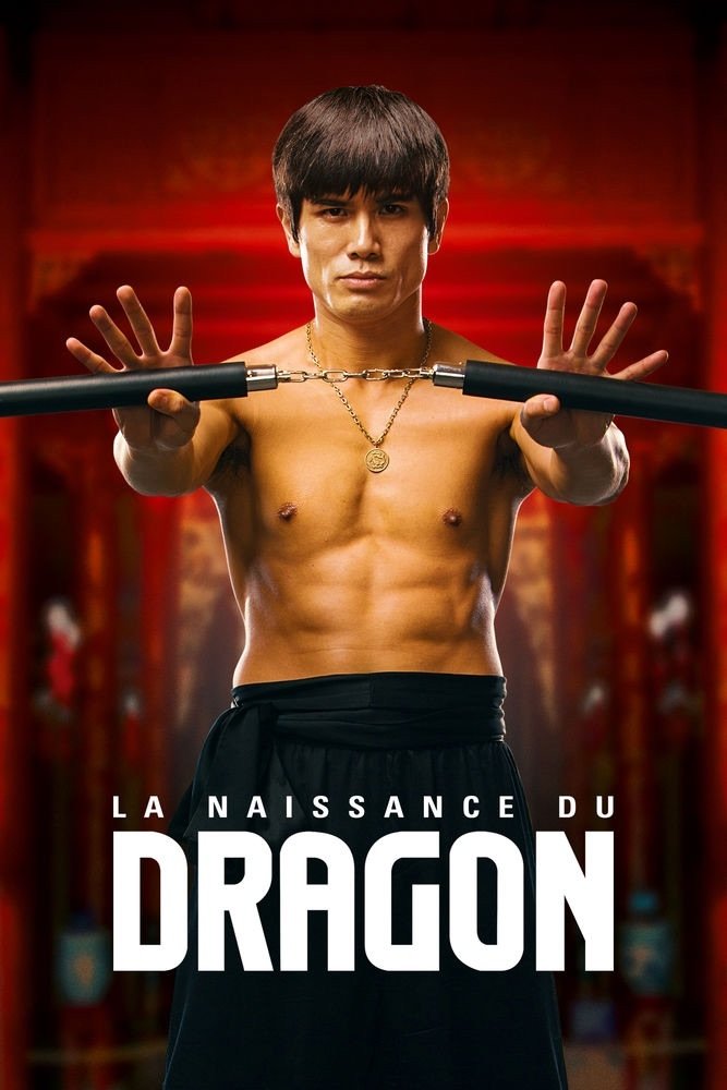 Affiche du film Birth of the Dragon