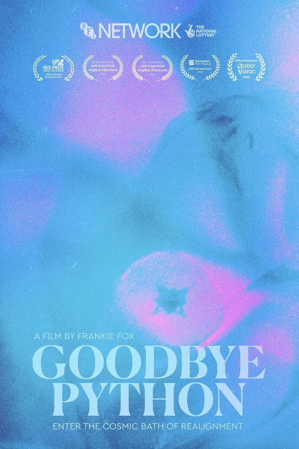 Poster de Goodbye Python
