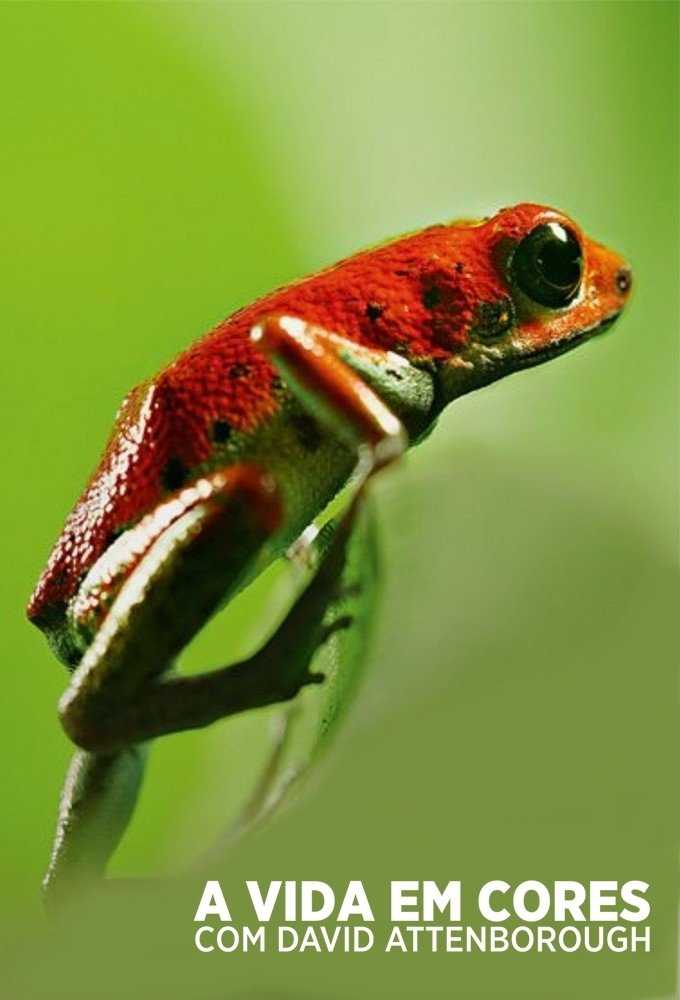 Poster de A Vida em Cores com David Attenborough