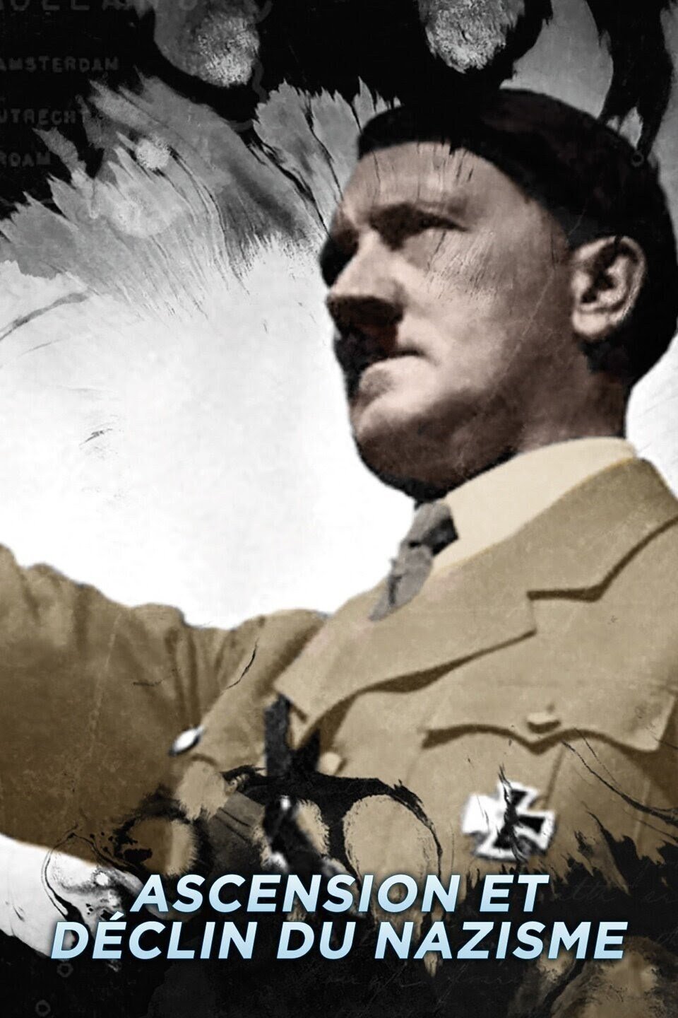 Poster of Ascension et déclin du nazisme