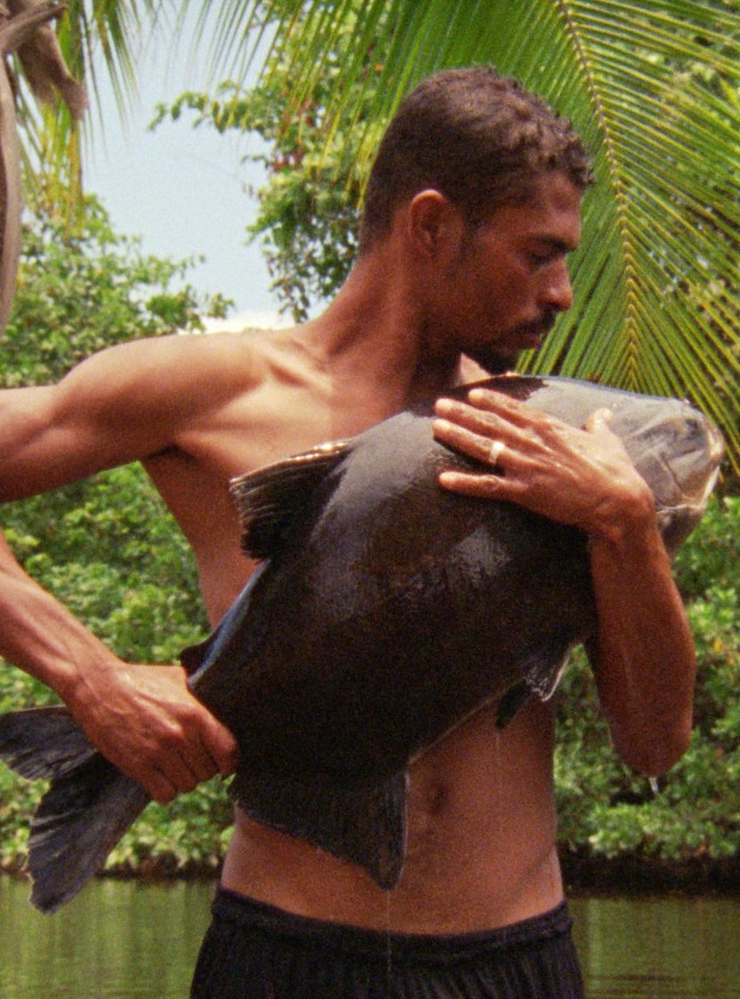 Poster de O Peixe