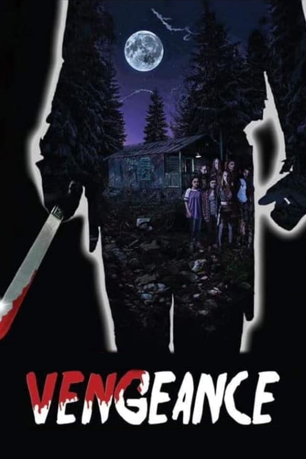Affiche du film Vengeance
