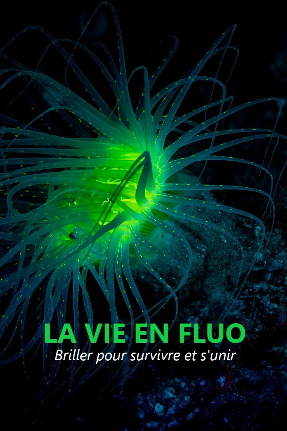 Poster de La vie en fluo