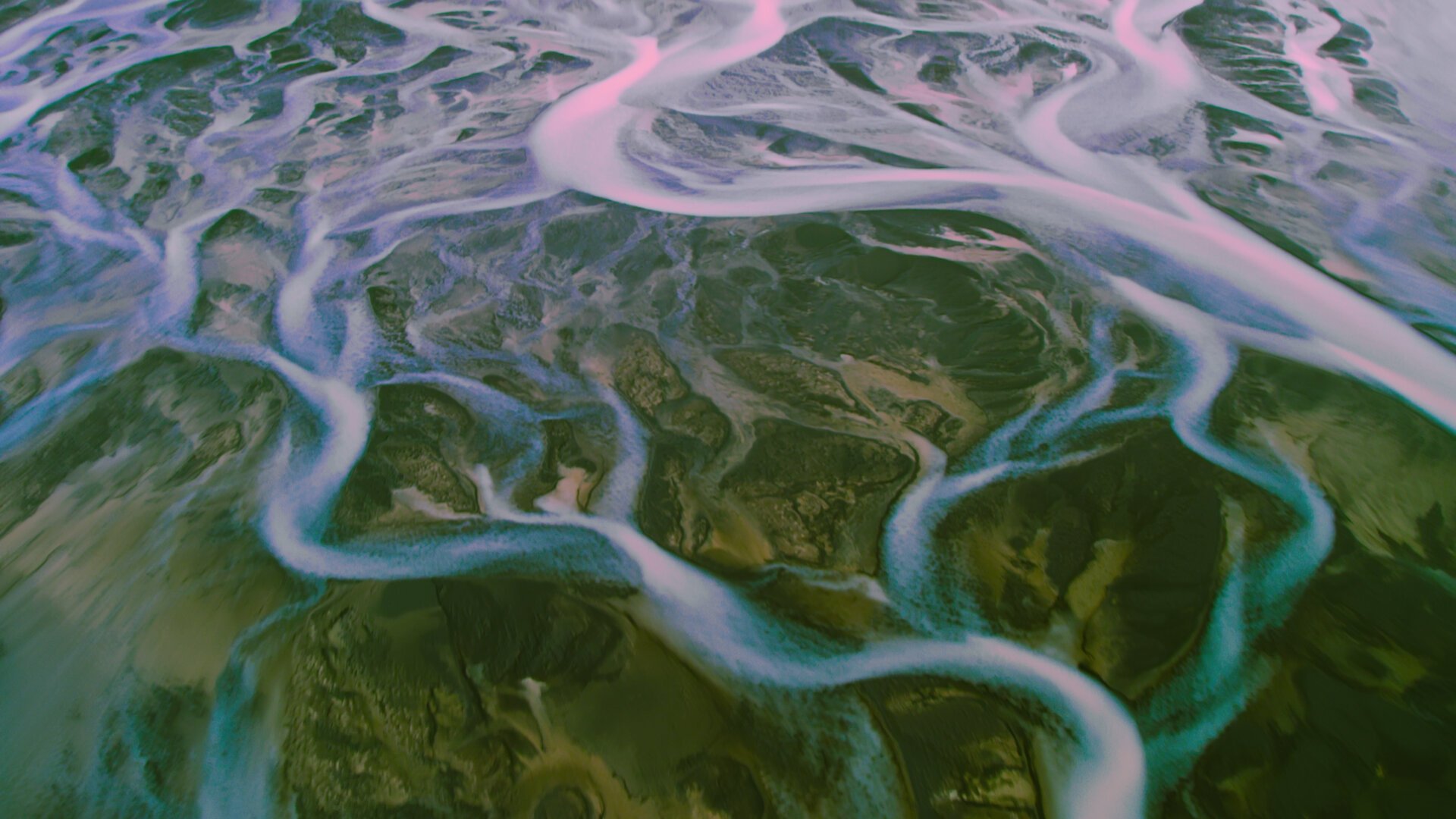 Patterns in Nature