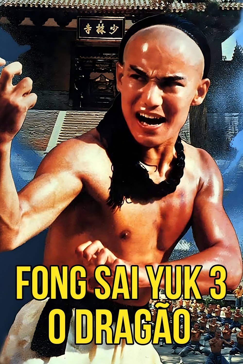 Poster de Fong Sai Yuk 3 - O Dragão