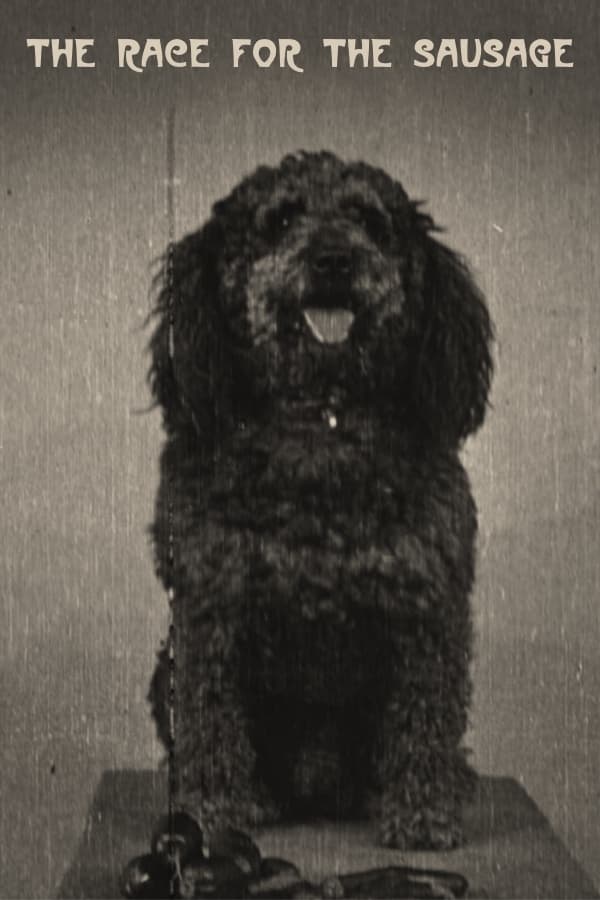 Poster for The Race for the Sausage