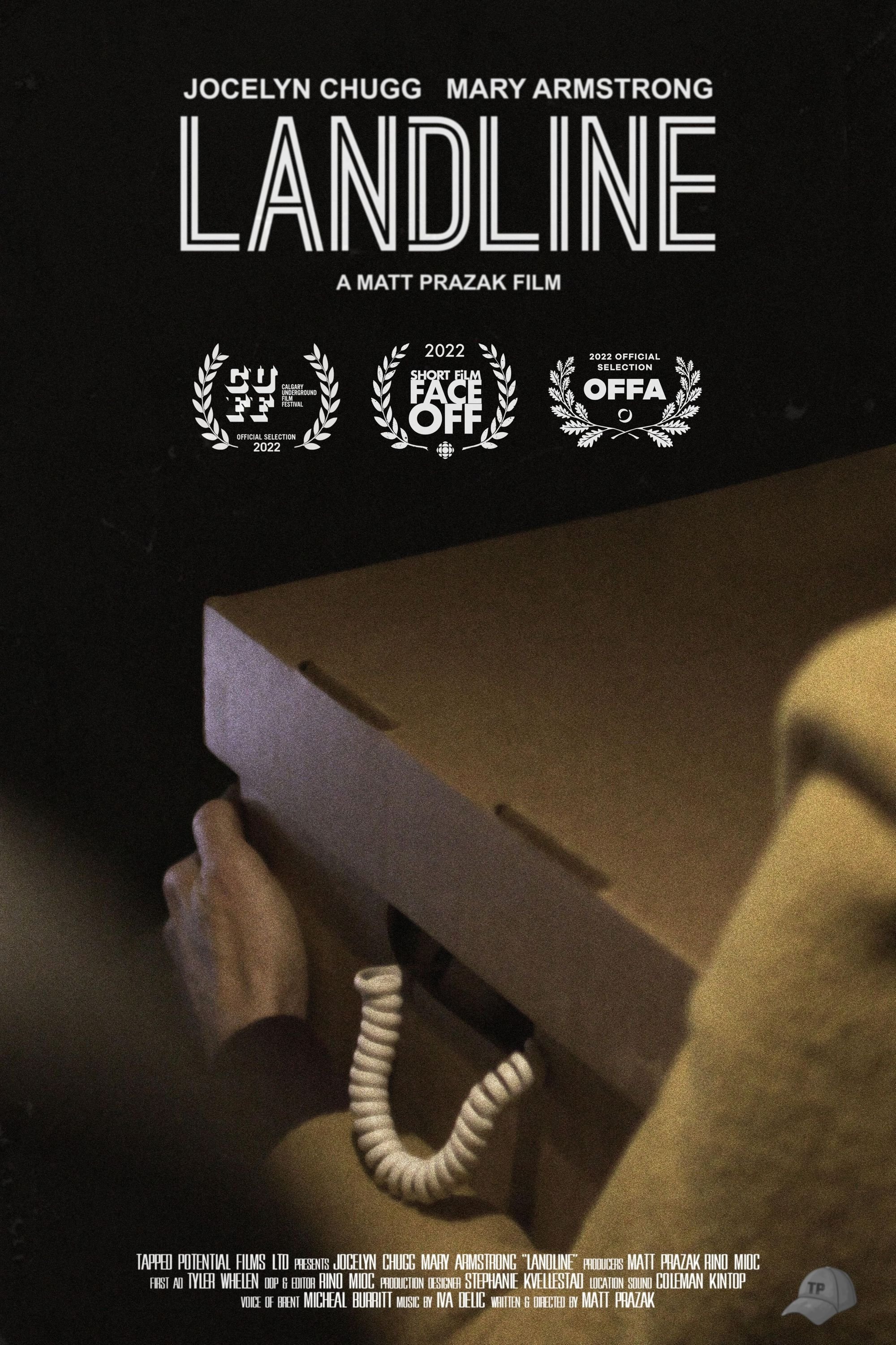 Poster de Landline