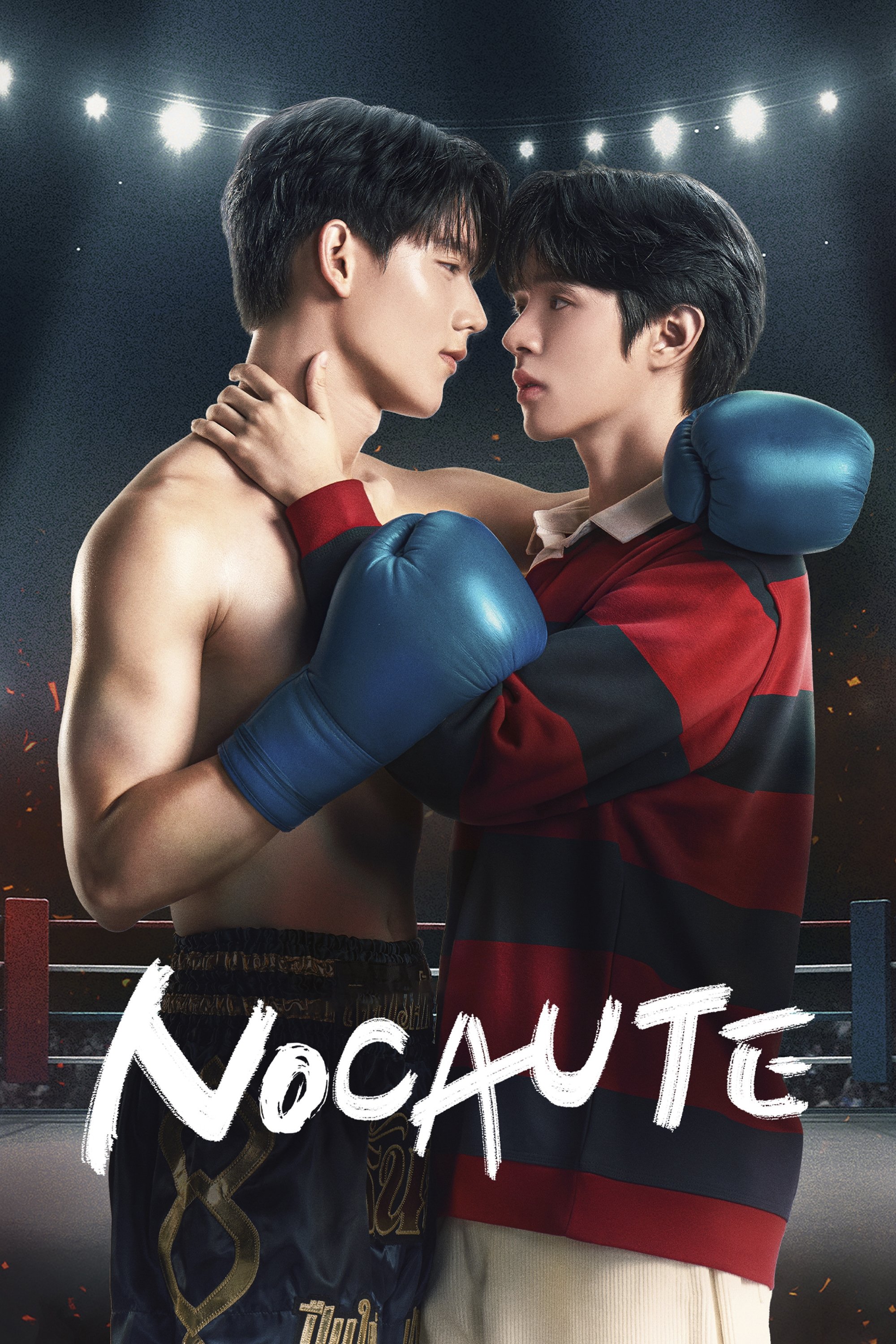 Poster de Nocaute