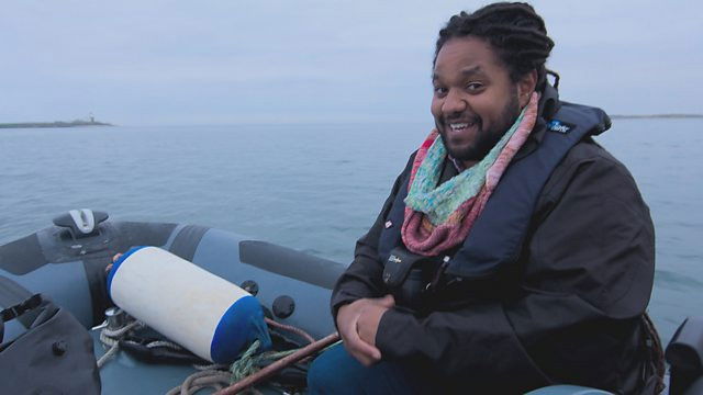 Northumberland Coast in Autumn