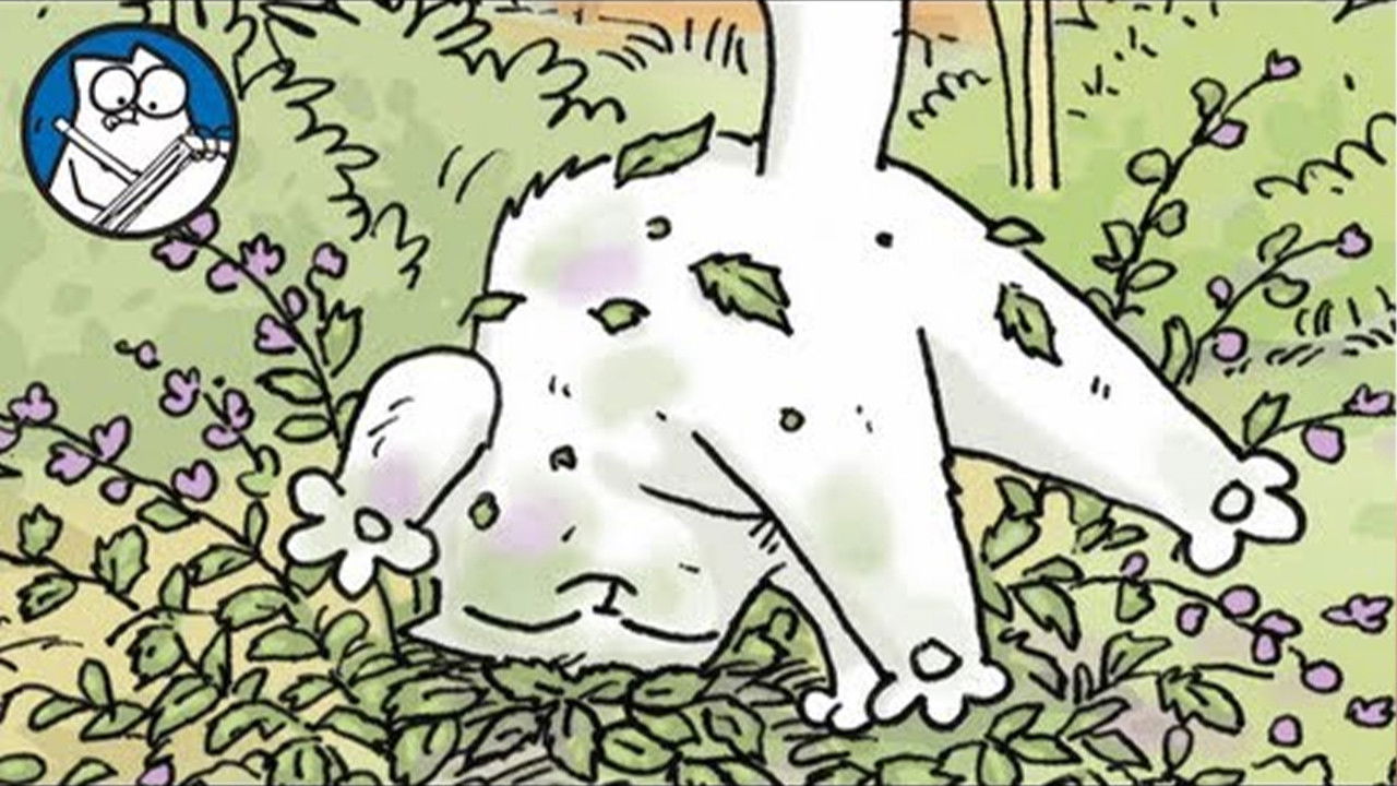 Simon Paints 'Catnip'