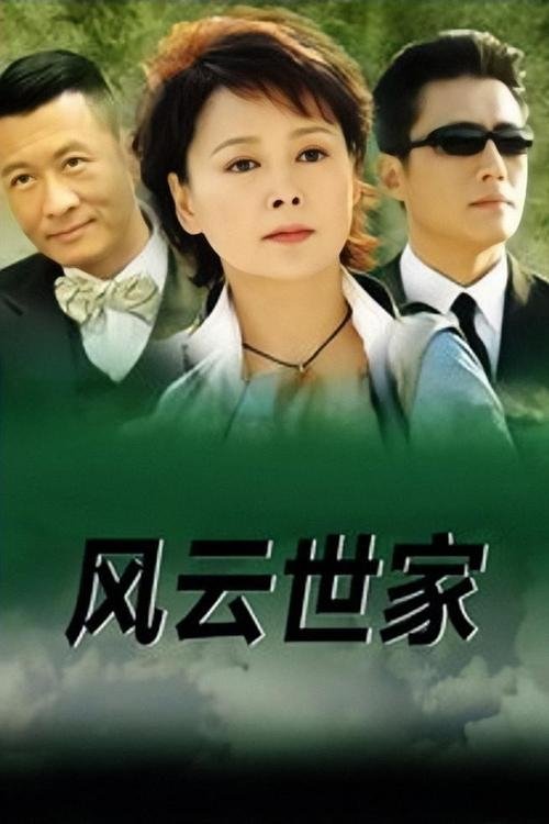 Poster de 风云世家