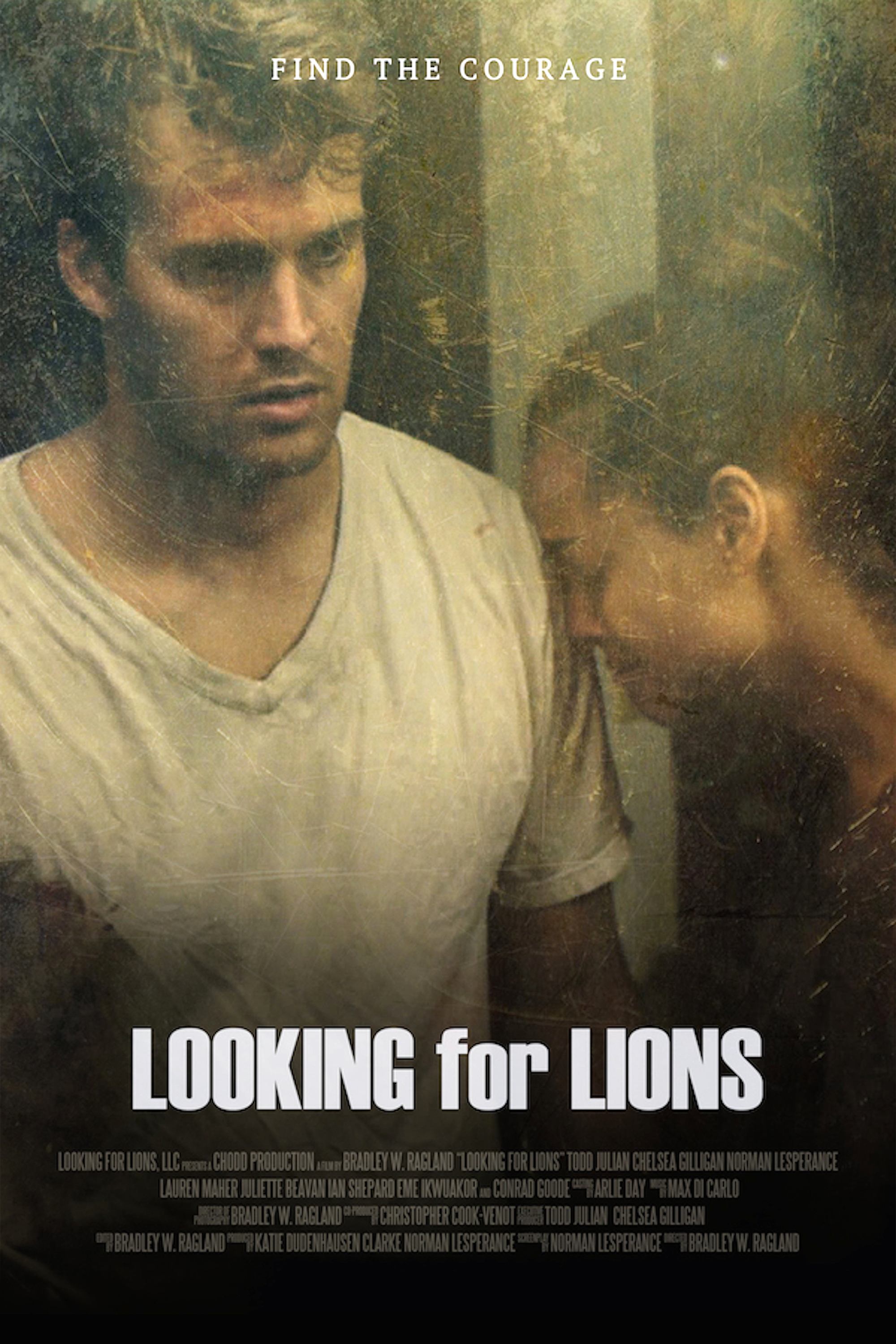 Affiche du film Looking for Lions