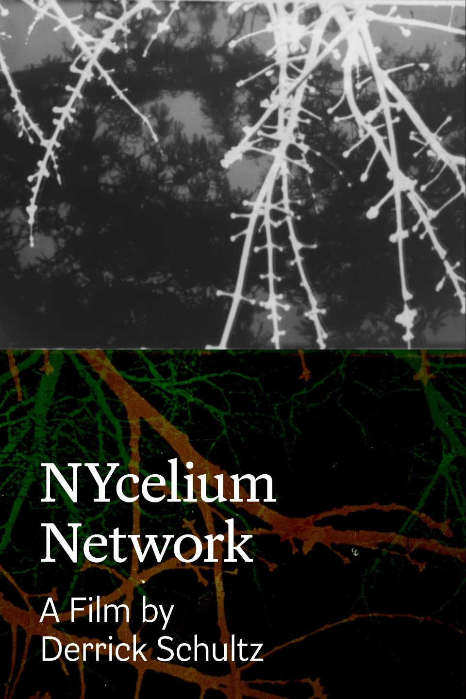 Poster de NYcelium Network