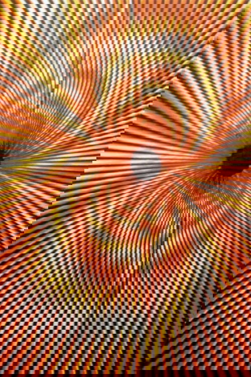 Sensitométrie II