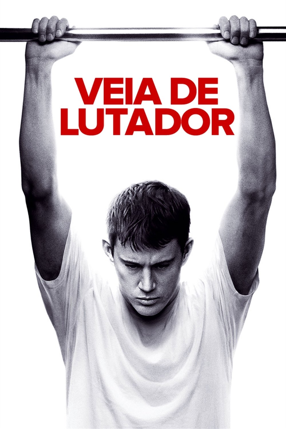 Poster de Veia de Lutador