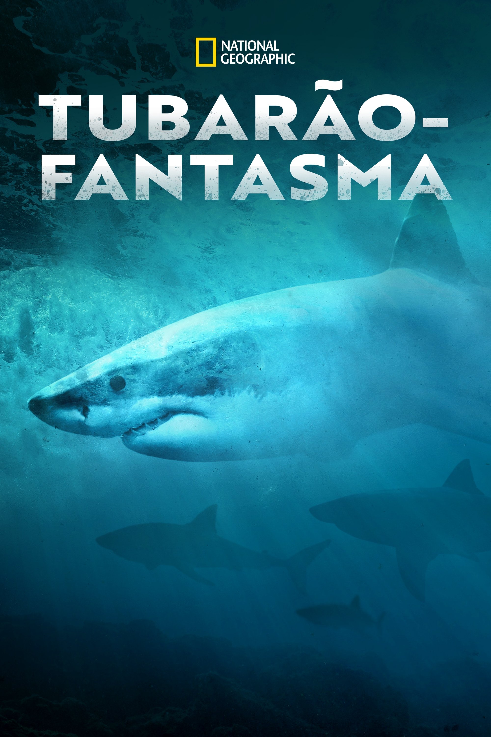 Poster de Tubarão-Fantasma