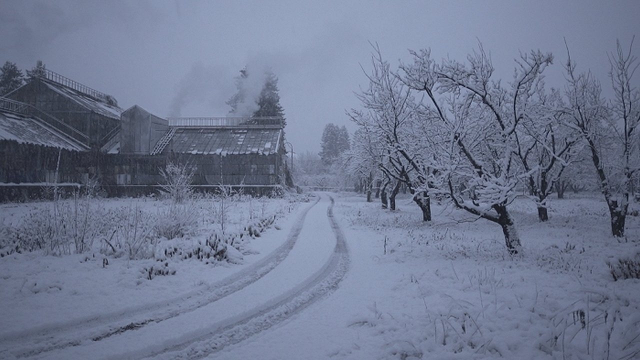 The Winter Garden's Tale