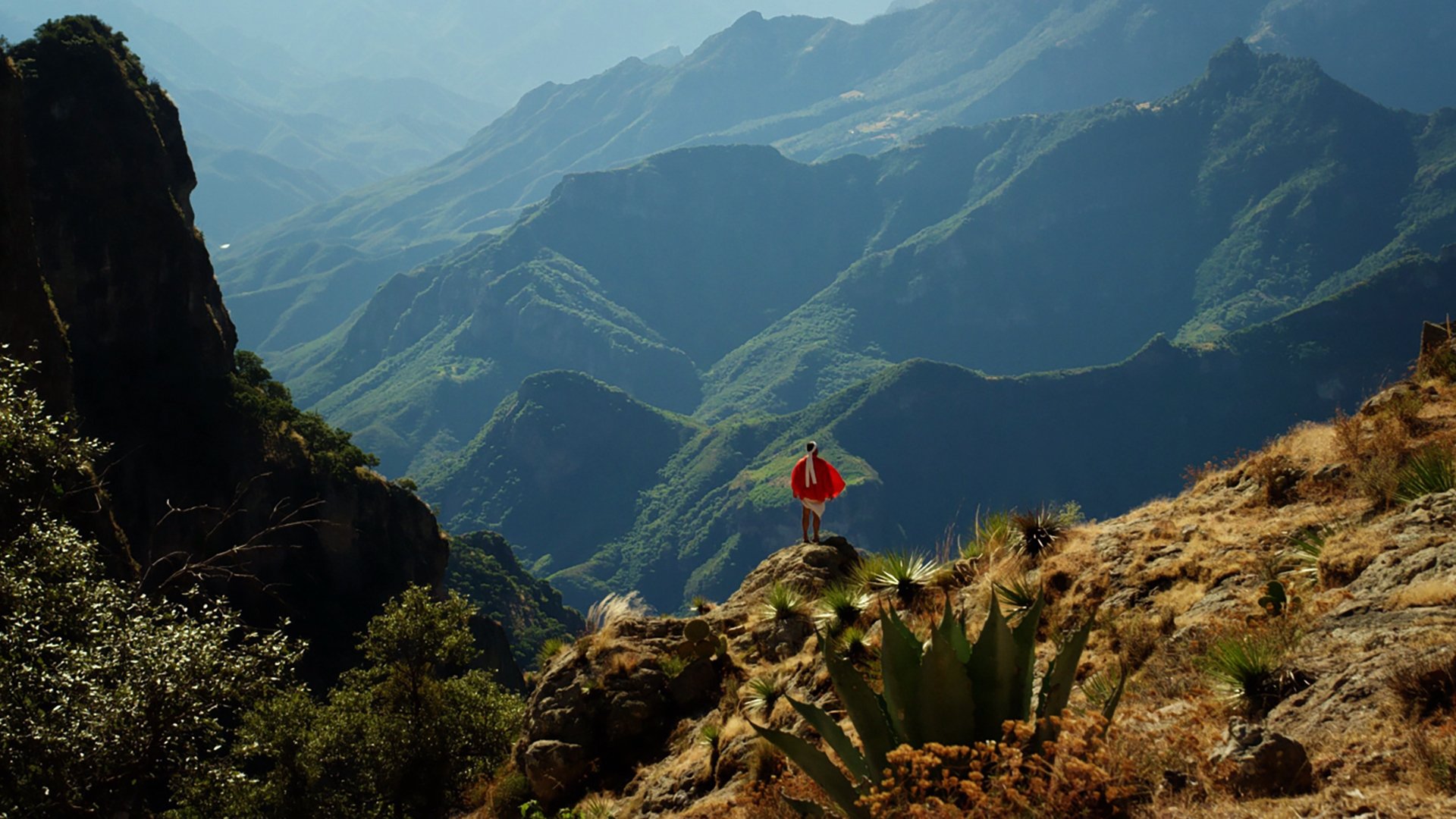 Backdrop image