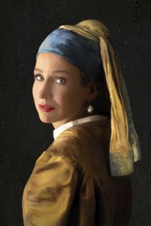 Poster de De Nieuwe Vermeer