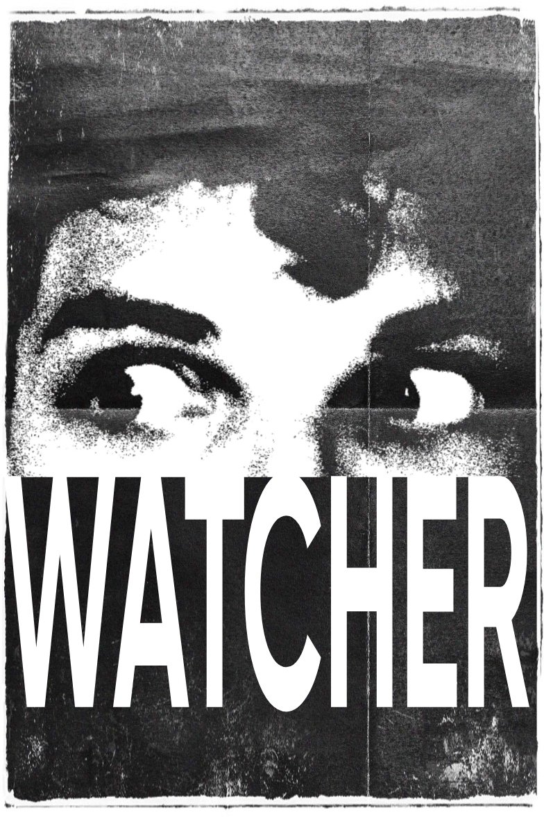 Poster de O observador